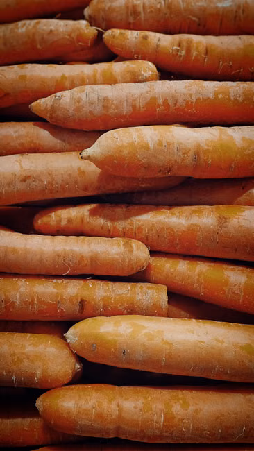 Legumes Frescos (kg)
